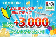ANA楽パック