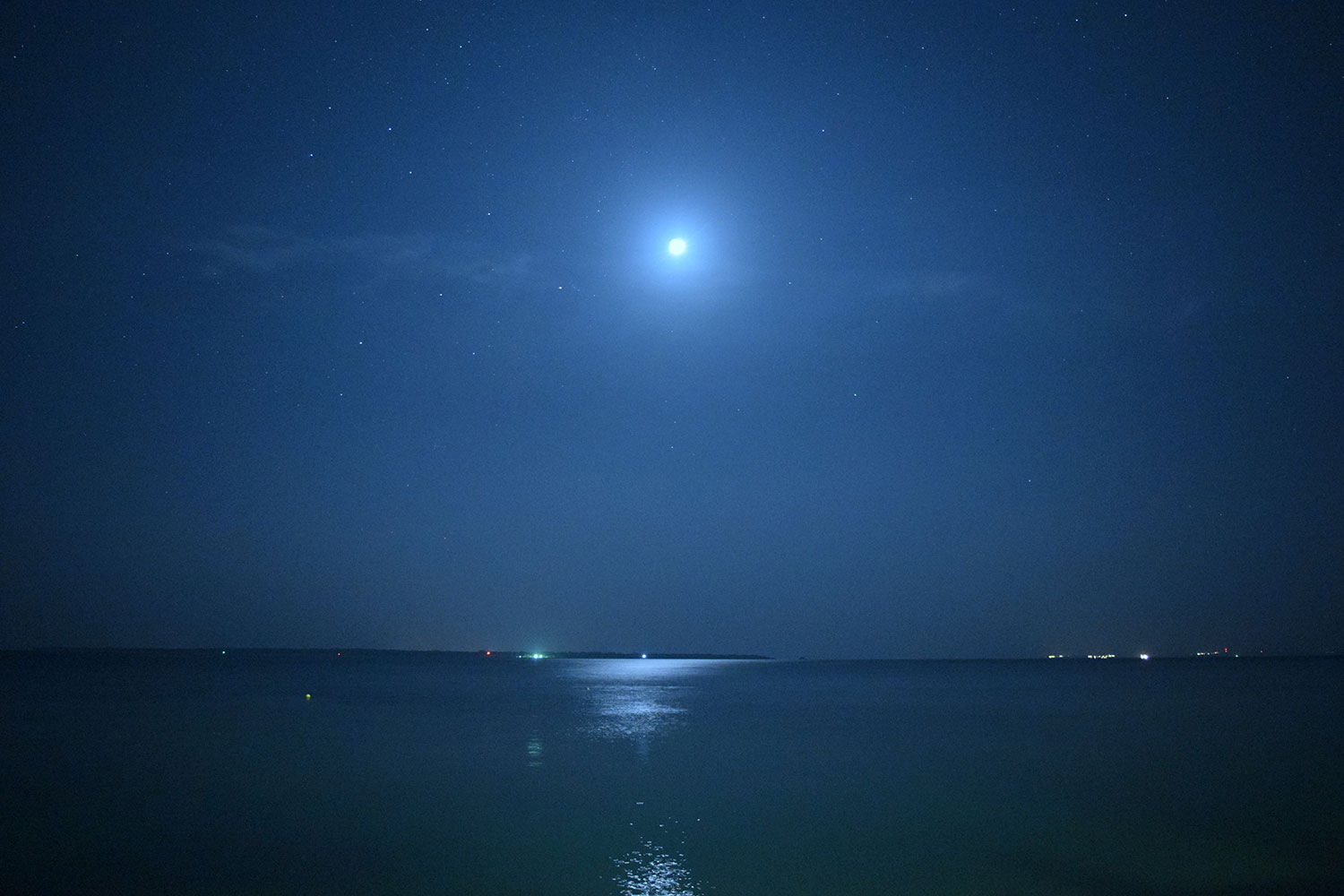 しゃにしゃに星空ツアー